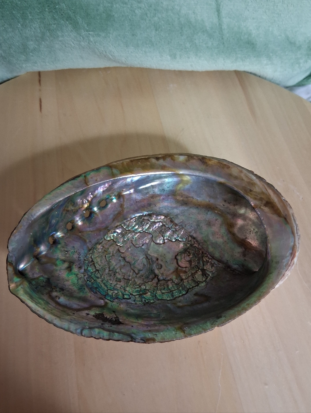 Iridescent Abalone Natural Shell Decorative Bowl 6 x 4.5 inches